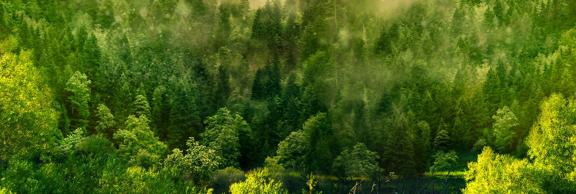 99贵宾会·(中国区)有限公司官网