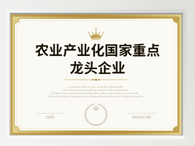 99贵宾会·(中国区)有限公司官网